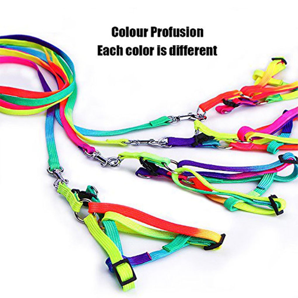Adjustable Rainbow Small Rabbit Cat Collar Leash Band Dog Pets Lead Harness Strap Belt CHSG