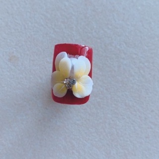 hoa bột nails- hoa chân
