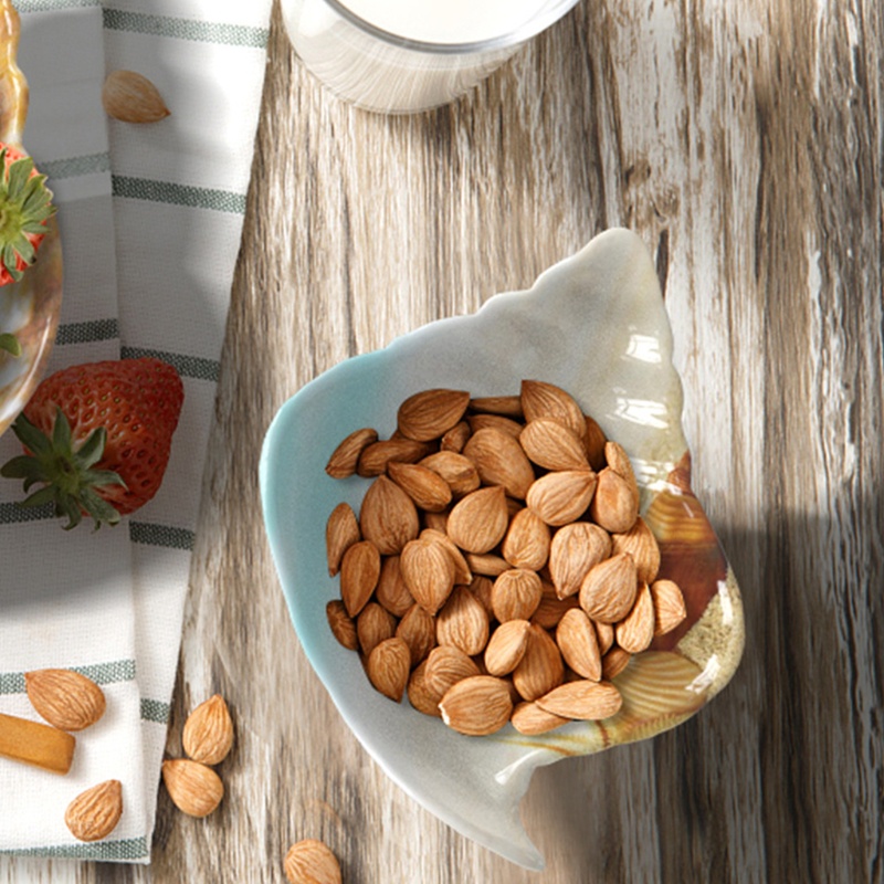 Khuôn NhựA NhiềU MàU SắC Để LàM BáNh Kem TiệN DụNg