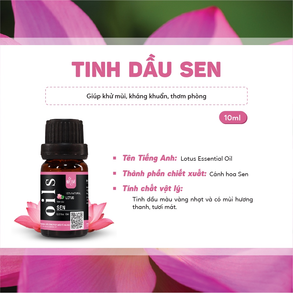 Tinh dầu thiên nhiên xông phòng Sen Haeva xua tan lo âu, căng thẳng, giúp tinh thần thư thái, ngủ ngon, chống lão hoá