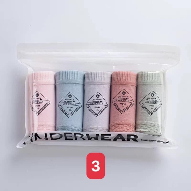 Set 5 quần lót nữ cotton cao cấp kháng khuẩn phối ren dễ thương QLN5