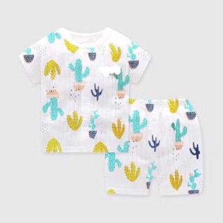 combo 5 bộ coton giấy