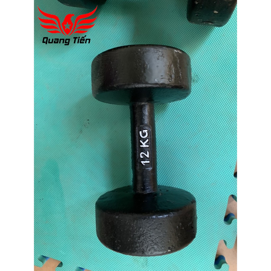 Tạ tay gang đúc loại đẹp 2022 12kg
