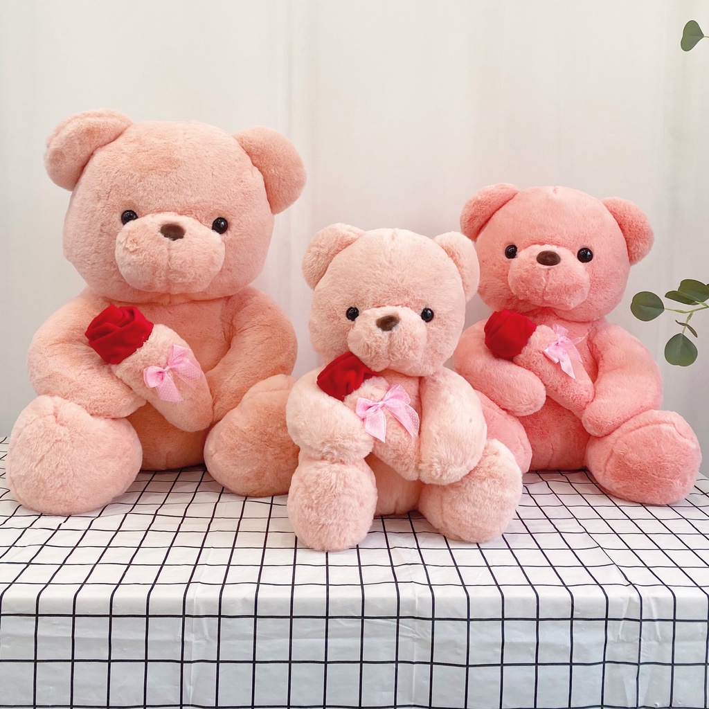 Gấu Bông Teddy Ôm Hoa Đáng Yêu Quà Tặng Dễ Thương Gấu Bông Online