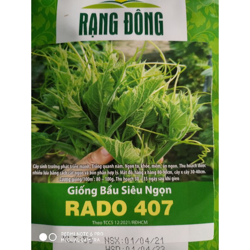 Hạt giống Bầu siêu ngọn 5gr❤️FREESHIP XTRA❤️