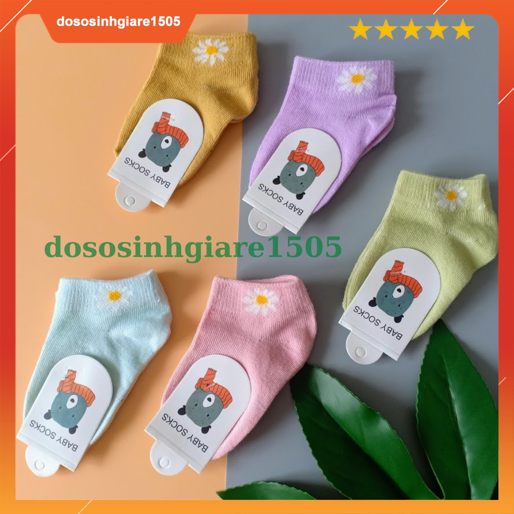 Set 5 đôi vớ cotton màu mẫu hoa cúc size 0-12 tháng/ Tất sơ sinh em bé mềm mịn