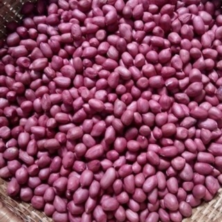 Lạc đỏ tây bắc