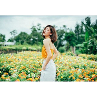 Đầm xòe hồng