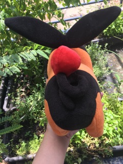 Gấu bông pokemon heo lửa Pokabu
