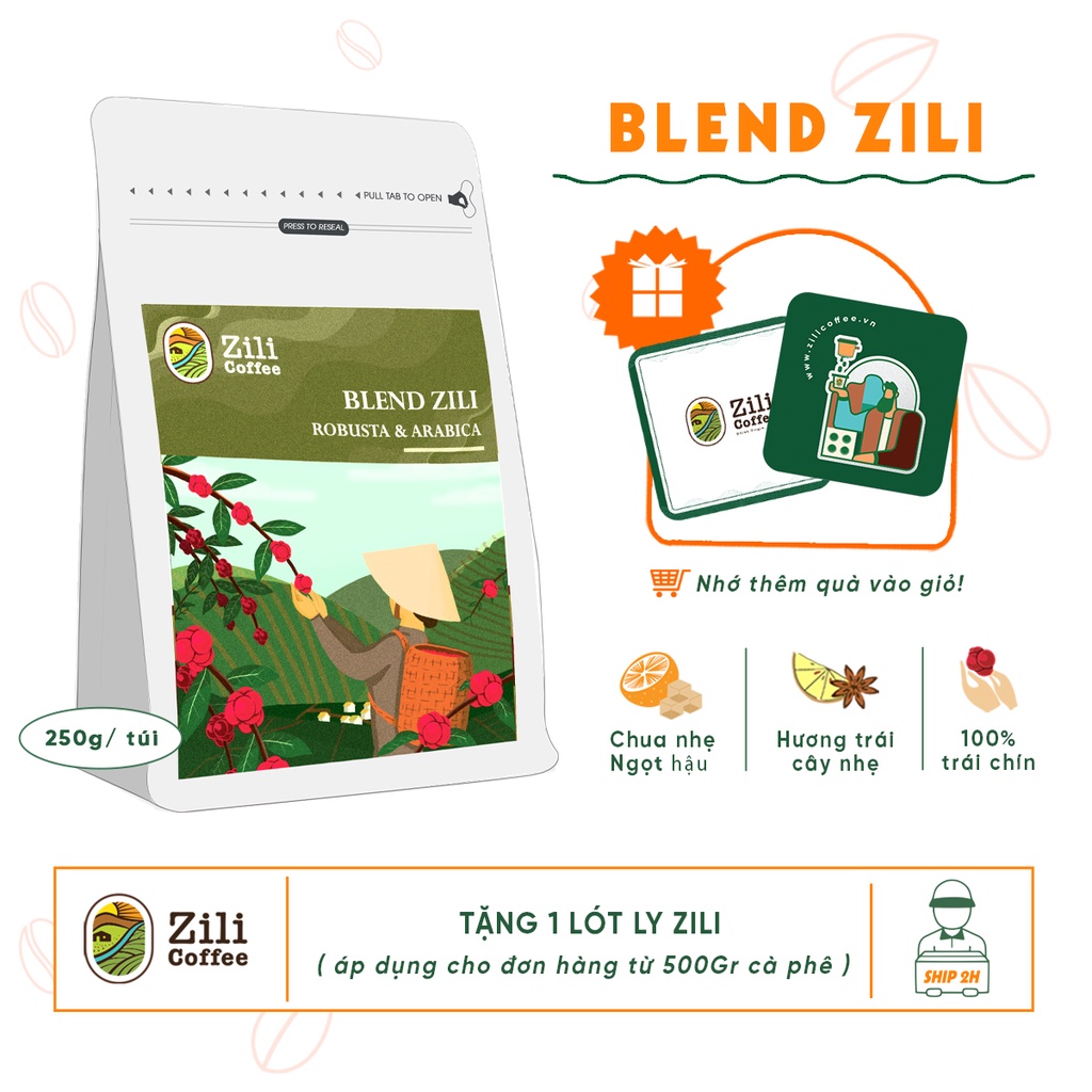 Cà phê nguyên chất Zili Blend (A&R) Zili Coffee Hương trái cây thảo mộc đắng nhẹ chua thanh hậu ngọt 1KG