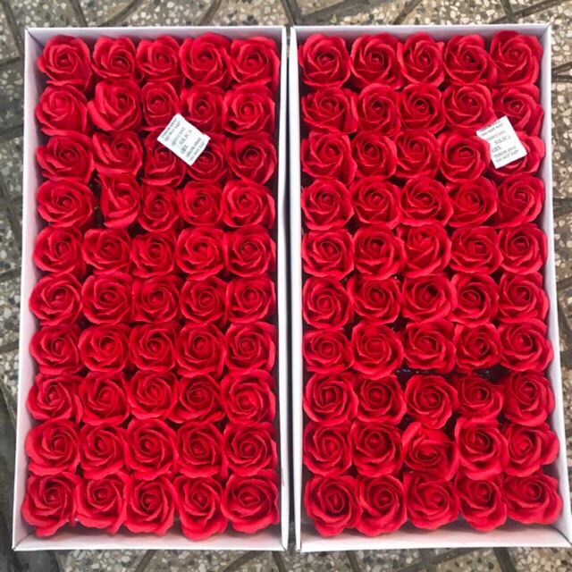 Hoa hồng sáp hộp 50 bông đẹp