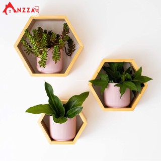 Kệ gỗ lục giác treo tường Anzzar gỗ thông nhập khẩu trang trí nội thất phòng khách độc đáo KLG-02