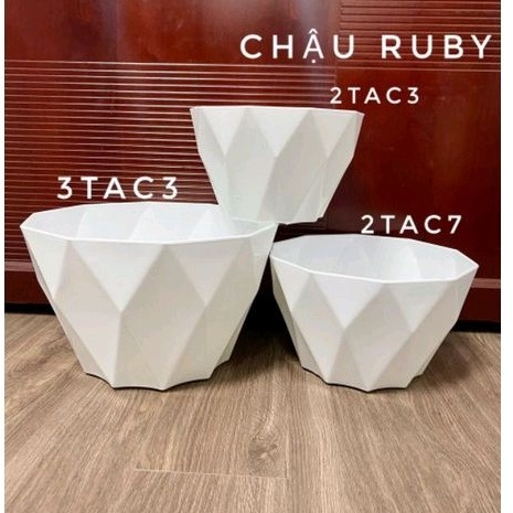 Chậu nhựa RUBY_Chậu nhựa tròn vát cạnh 3 size trồng hoa, cây cảnh cực xinh