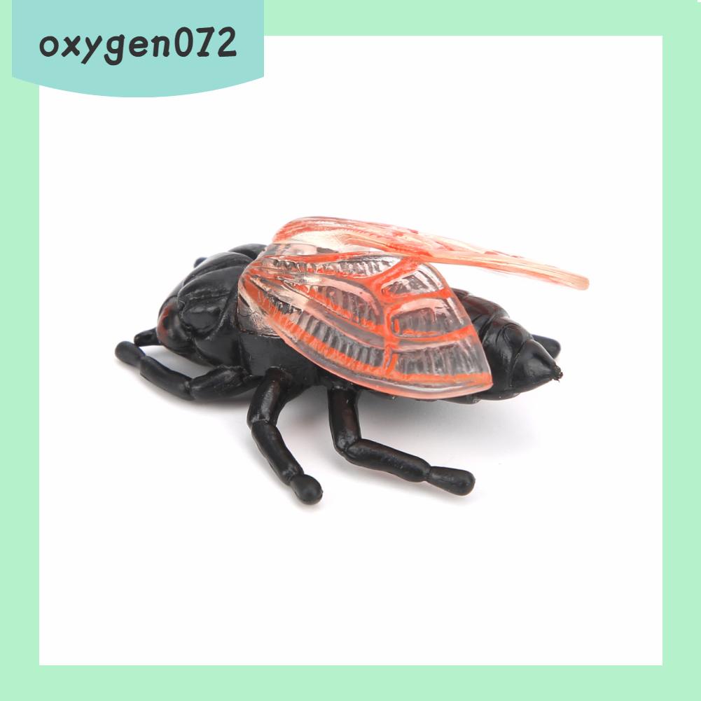 Oxygen072 Cicada Insect Model Highly Simulation Children Kids Ornament Decoration