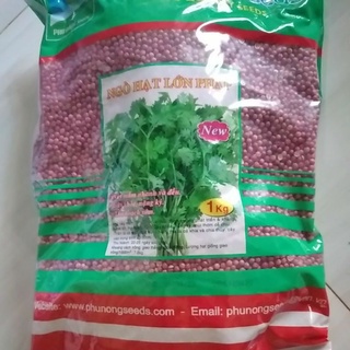 Hạt giống ngò rí ngò hạt lớn pháp phú nông 1kg