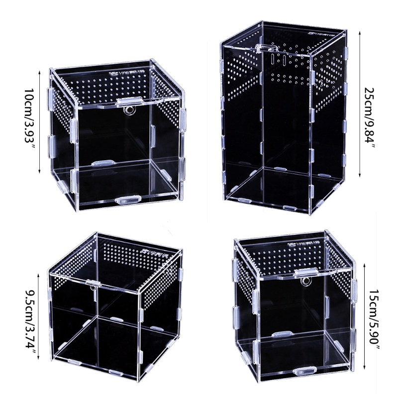 Hộp Đựng Thức Ăn Bằng Acrylic Cho Bò Sát / Thằn Lằn / Ếch