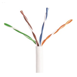 Dây mạng / Cable Lan UTP Cat 5E 5m 10m 15m
