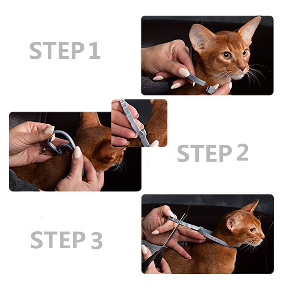 Vòng cổ silicon chống muỗi/ côn trùng bảo vệ cổ dành cho thú cưng 8 tháng