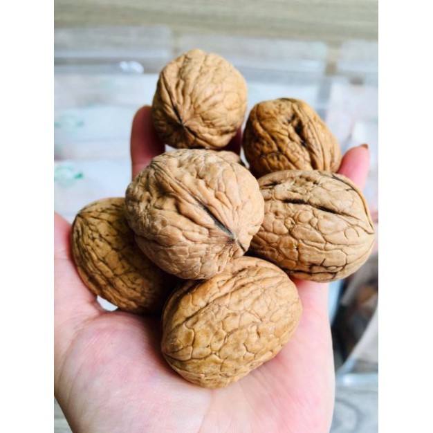 Quả Óc Chó Mỹ Loại 1 500G Nhập Khẩu 💝FREE SHIP💝 Quả Óc Chó Cho Bà Bầu Nhập Khẩu USA Có Kèm Dụng Cụ Tách Vỏ Date Mới | BigBuy360 - bigbuy360.vn