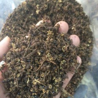 200g mắc khén và 50g hạt dổi nếp