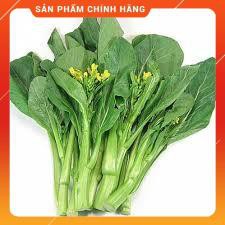 HẠT GIỐNG CẢI NGỒNG XANH THÂN MẬP
