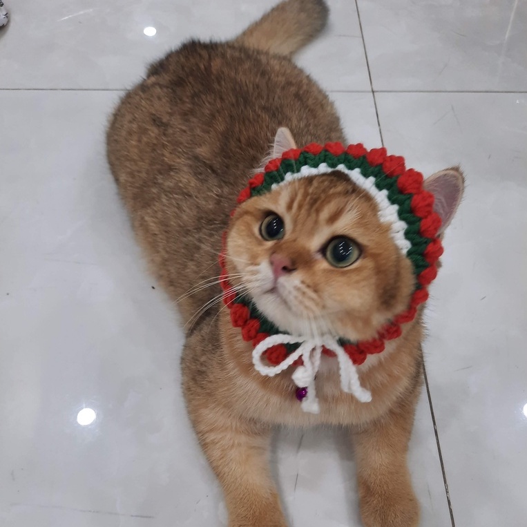Quần áo chó mèo mua đông Yếm len xinh cho chó mèo - Quần áo chó mèo - Yếm mèo dễ thương trend tiktok