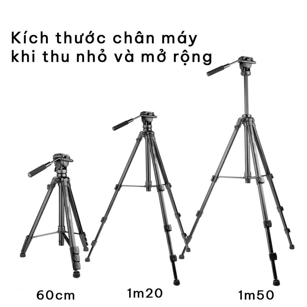 Chân máy ảnh tripod Yunteng Canon