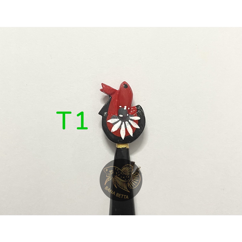 Cây kè cá betta + Tặng Cám INVE 5/8