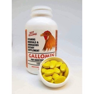 Nuôi gà đá bo lớn GALLOMIN, Gà vào chế độ đá, bóng lông