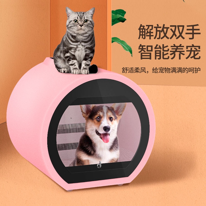 Hộp Sấy Thú Cưng Máy Thổi Nước Gia Đình Tự Động Chó Mèo Nhỏ Vừa Thổi Lông Tắm