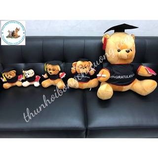 Gấu cử nhân nhung cao cấp form đẹp