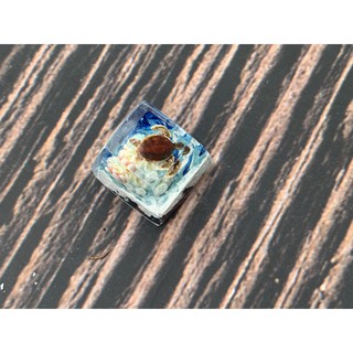 keycap rùa biển