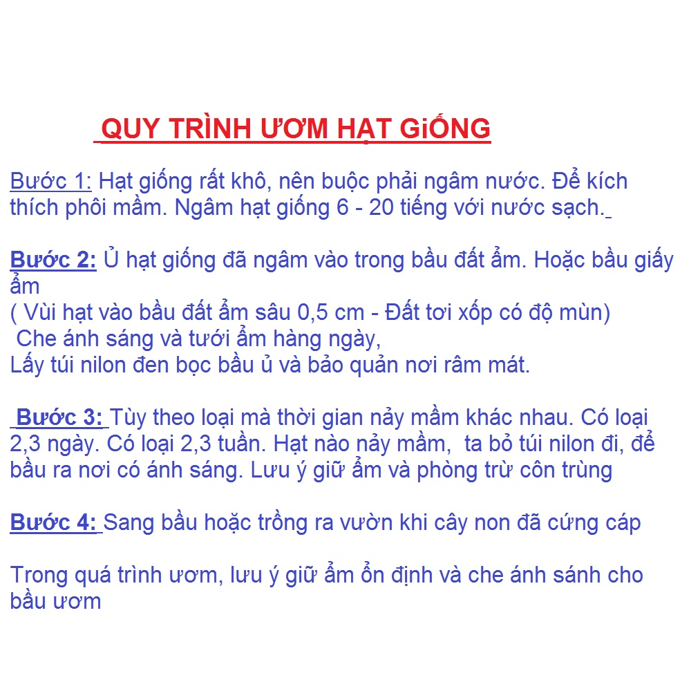 ( SIÊU HOT ) Hạt Giống Hoa Cẩm Chướng kép Mix 50 hạt