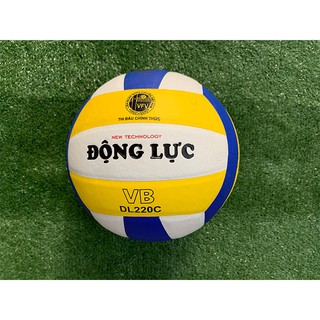 Quả Bóng Chuyền Da Động Lực DL 220C 5.0