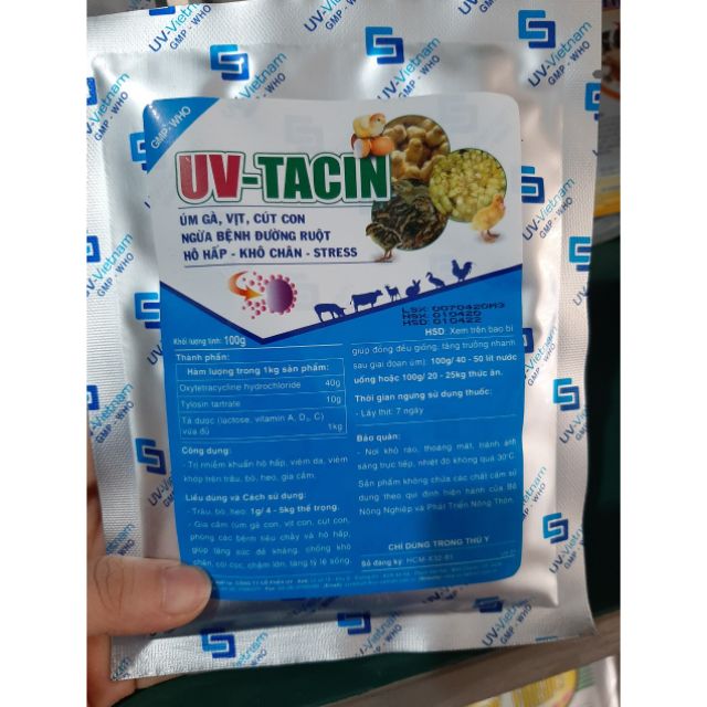 Úm gà vịt ngan con