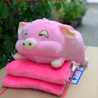 Heo mắt híp kèm mền hàng cao cấp