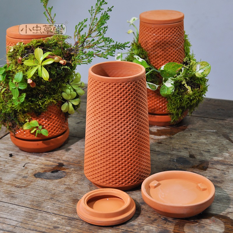 Tháp cây đứng TERRAPLANTER gốm trồng cây dương sỉ rêu tự thẩm thấu thủy canh nhiều lỗ DOOA TERRARIUM - TERRA-02