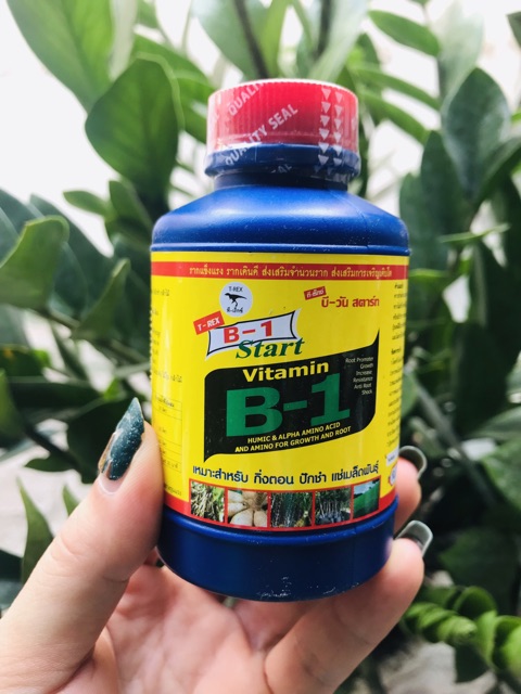 Phân bón lá Vitamin B1 Thái Lan (100ml)