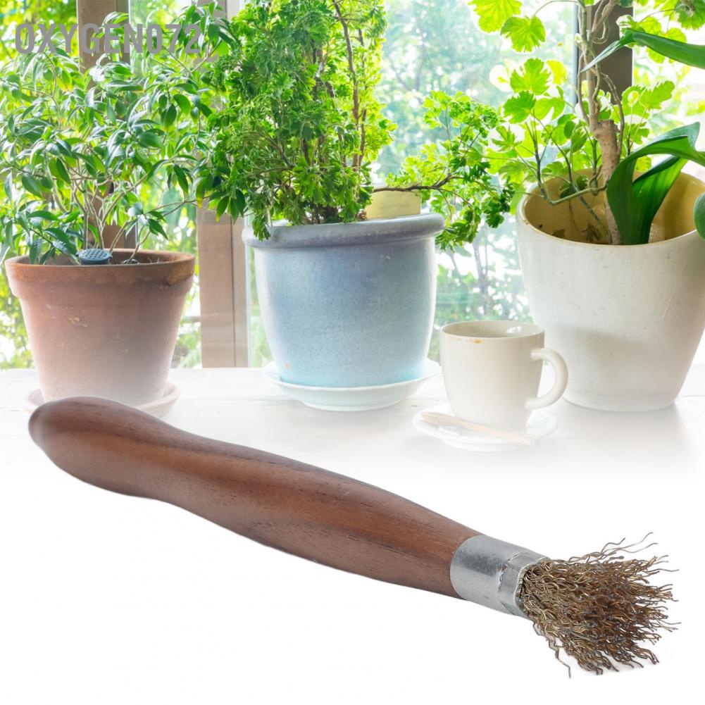 Oxygen072 Steel Wire Brush Wearable Rust Proof Wood Handle Professional Bonsai Cleaning Tool for Potted Plants Bàn Chải Cọ Rửa Cây Cảnh