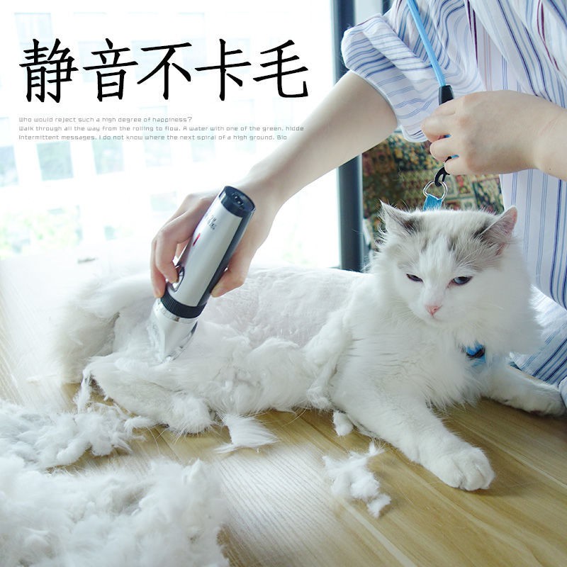 【Sẵn sàng giao hàng】 tông đơ cắt lông chó mèo tông đơ cắt tóc Máy cạo lông cho chó thú cưng tông đơ cắt t