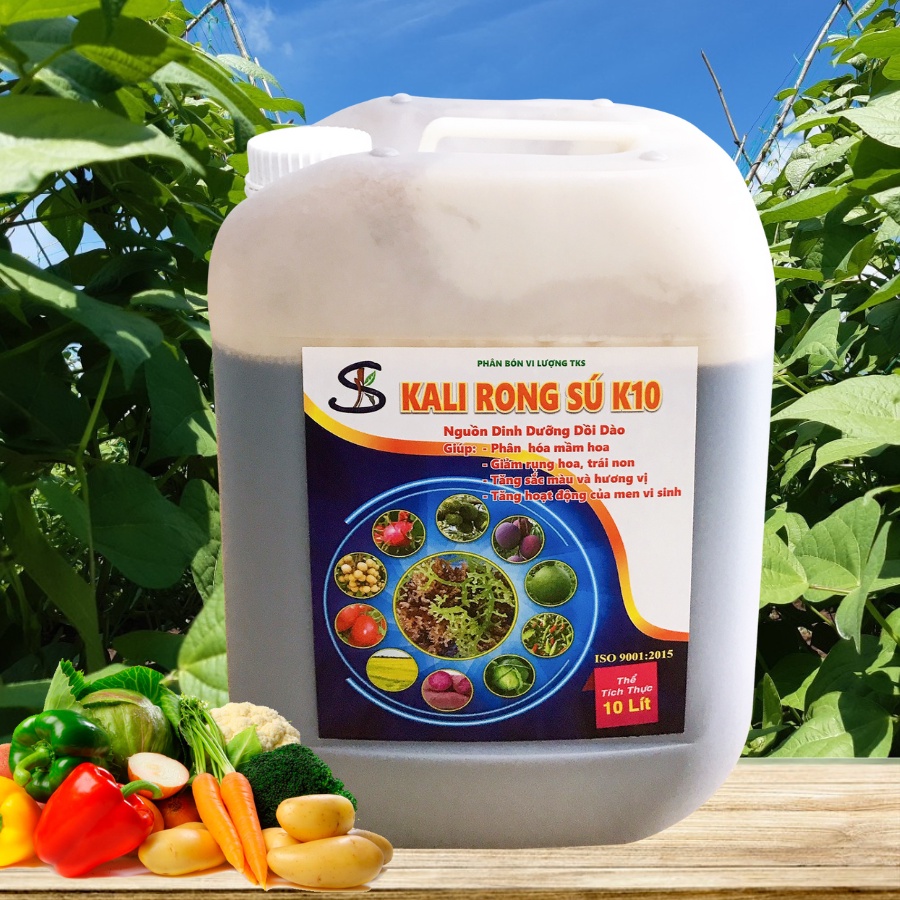 Phân Bón KALI RONG SÚ BIỂN K10 Chắc Nhân To Quả Ngọt Trái - Can 10 Lít