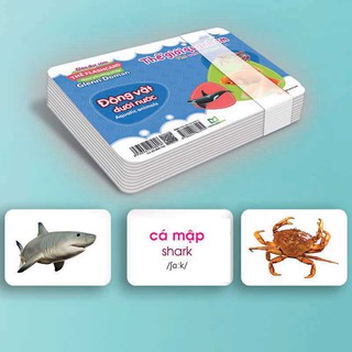 Flashcard Glenn Doman - Thế Giới Quanh Em: Động Vật Dưới Nước