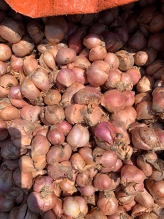 hành phi khô lý sơn