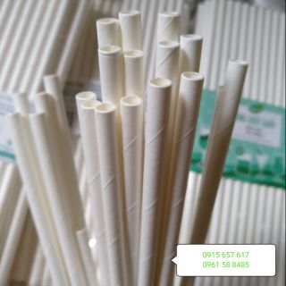 ỐNG HÚT GIẤY 6x197mm  TÚI 50 CÁI