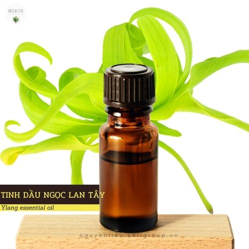 Tinh Dầu Y Lang 100ML Thiên Nhiên (Ngọc Lan Tây)