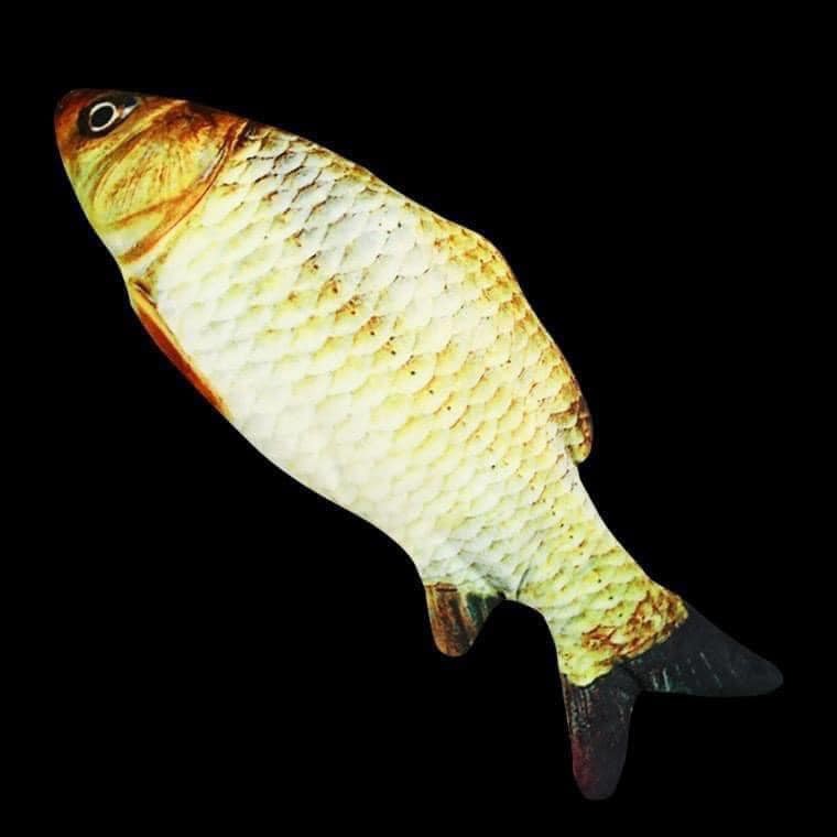 Đồ Chơi Cá Bằng Bông Chạy Bằng Pin