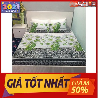 Bộ vỏ chăn ga gối mẫu số vc25