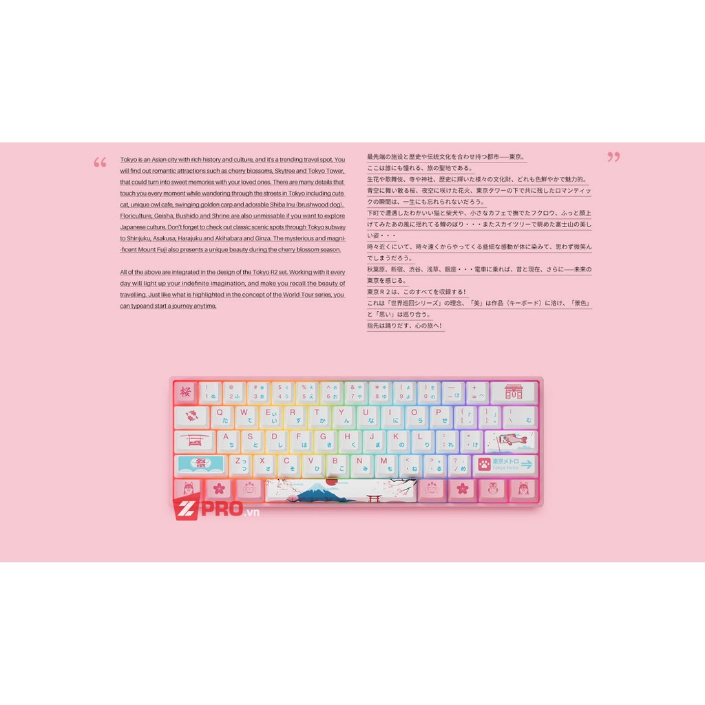 [Mã 157ELSALE hoàn 7% đơn 300K] Bàn phím cơ AKKO 3061 World Tour Tokyo r2 (Gateron + RGB)