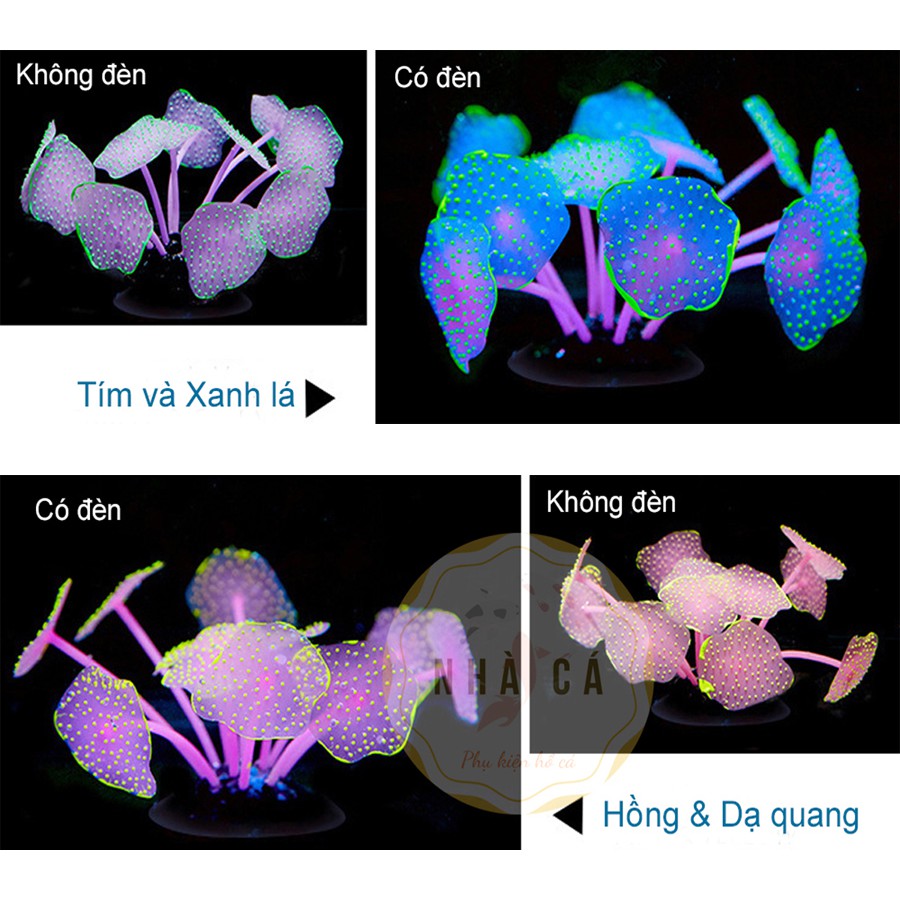 ĐỒ CHƠI HẢI QUỲ DẠ QUANG - PHỤ KIỆN TRANG TRÍ HỒ NƯỚC MẶN - HỒ CÁ CẢNH - THỦY SINH
