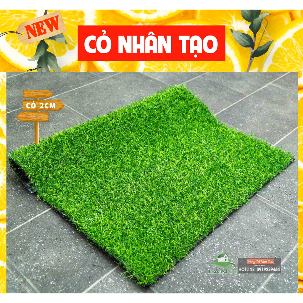 Cỏ nhựa nhân tạo, loại cỏ cao 2cm, kích thước 1m x 0,5m